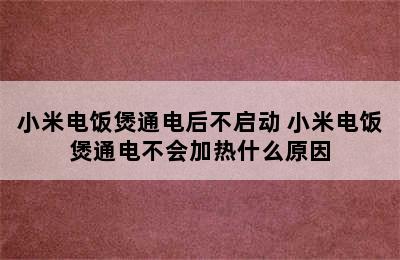 小米电饭煲通电后不启动 小米电饭煲通电不会加热什么原因